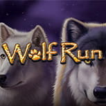 Imagen de la slot Wolf Run.